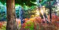 arbre 28_10_12 n03